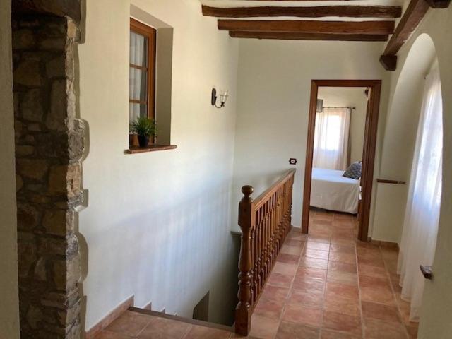 Homs Appartement